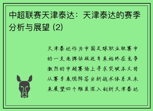 中超联赛天津泰达：天津泰达的赛季分析与展望 (2)